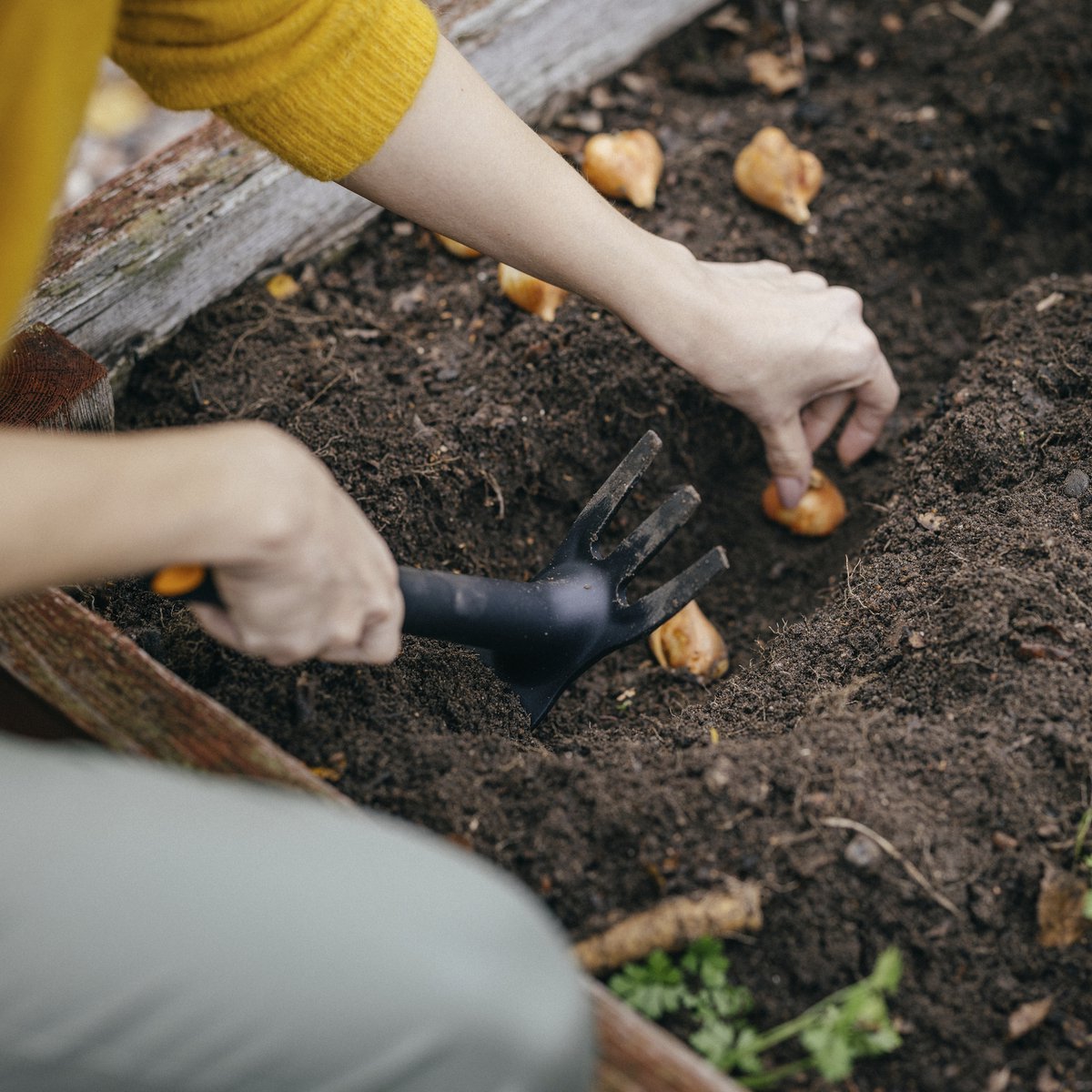 Fiskars Solid Combi Houe - pour creuser et désherber - Binette