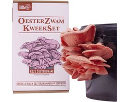 Oesterzwam Starterset – Roze oesterzwam - Maak je eigen growkit - Kweek paddestoelen op je eigen koffiedik - Duurzaam - Kado