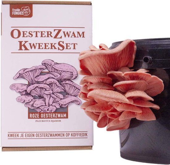 Oesterzwam Starterset – Roze oesterzwam - Maak je eigen growkit - Kweek paddestoelen op je eigen koffiedik - Duurzaam - Kado