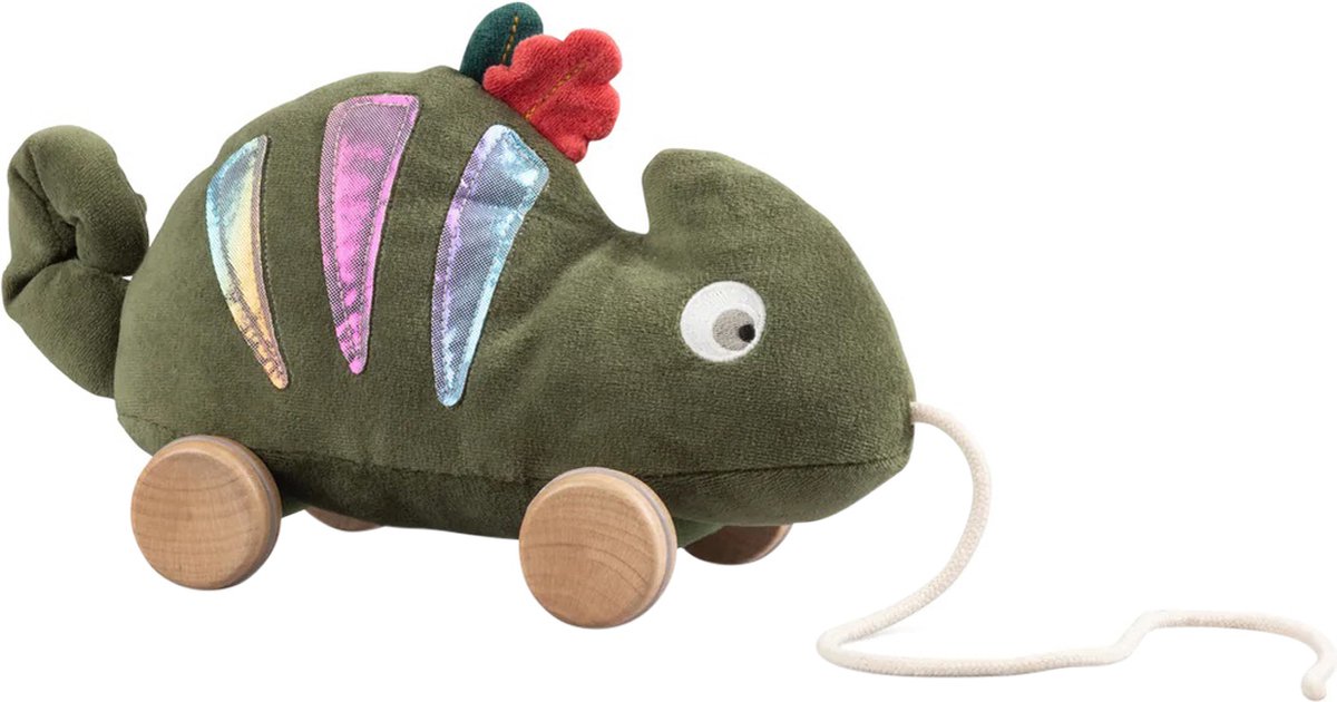 Sebra Carley The Chameleon Trekdier