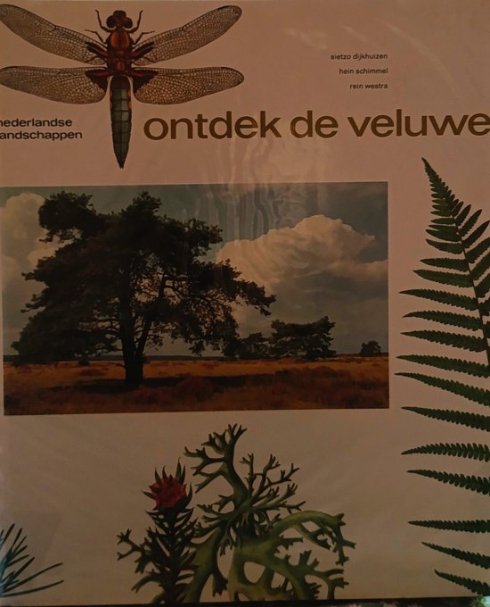 Foto: Ontdek de veluwe