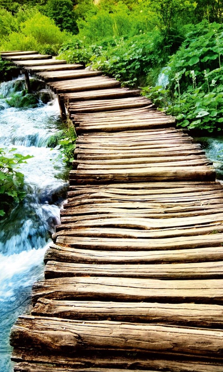 Fotobehang - Boardwalk 150x250cm - Vliesbehang