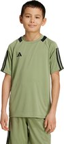 adidas Sportswear Sereno AEROREADY T-shirt Kids - Kinderen - Groen- 164