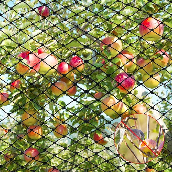Vogels verjagen uit je tuin: Duurzame tips voor een vogelvrij tuin
