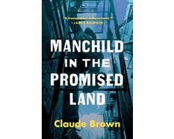 Manchild in the Promised Land