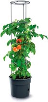 Tomatenpot van kunststof antraciet 392 (l) x 392 (b) x 315-153 (h) cm - Grote tomatengroei