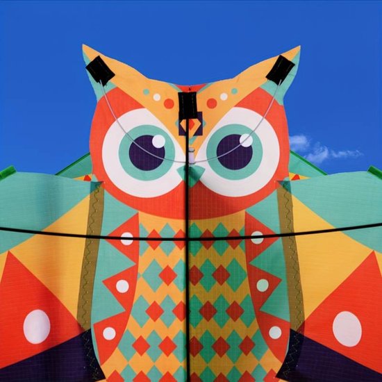 Cerf-Volant Hibou Géant 52x46 Pouces – Kit Débutant Avec Longue Queue – Cadeau Plage Enfant Adulte