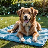 PetsHome Koel Mat - Hond en Kat - L - 90 bij 50 cm - Blauw