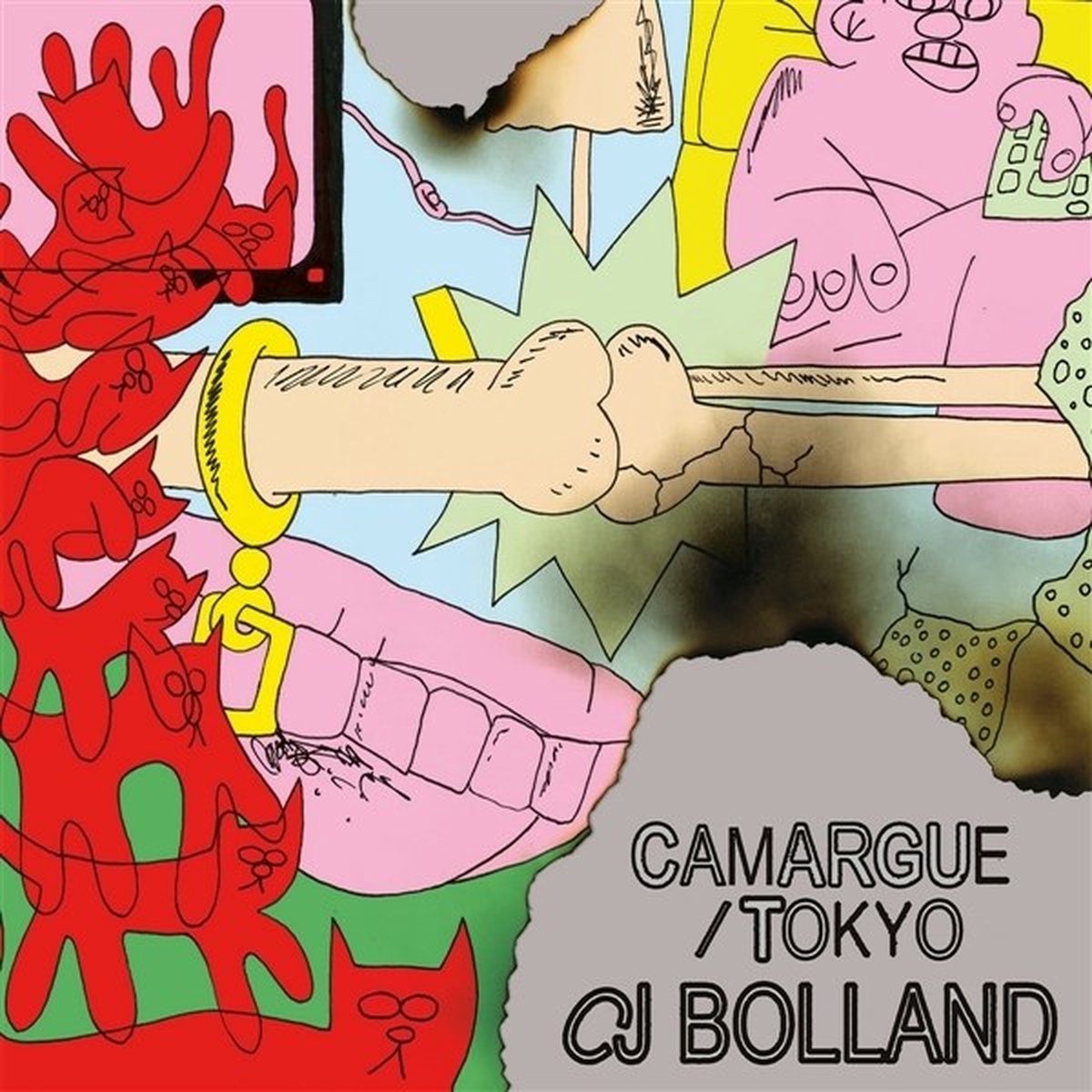 CJ Bolland - Camargue/Tokyo (12" Vinyl Single)