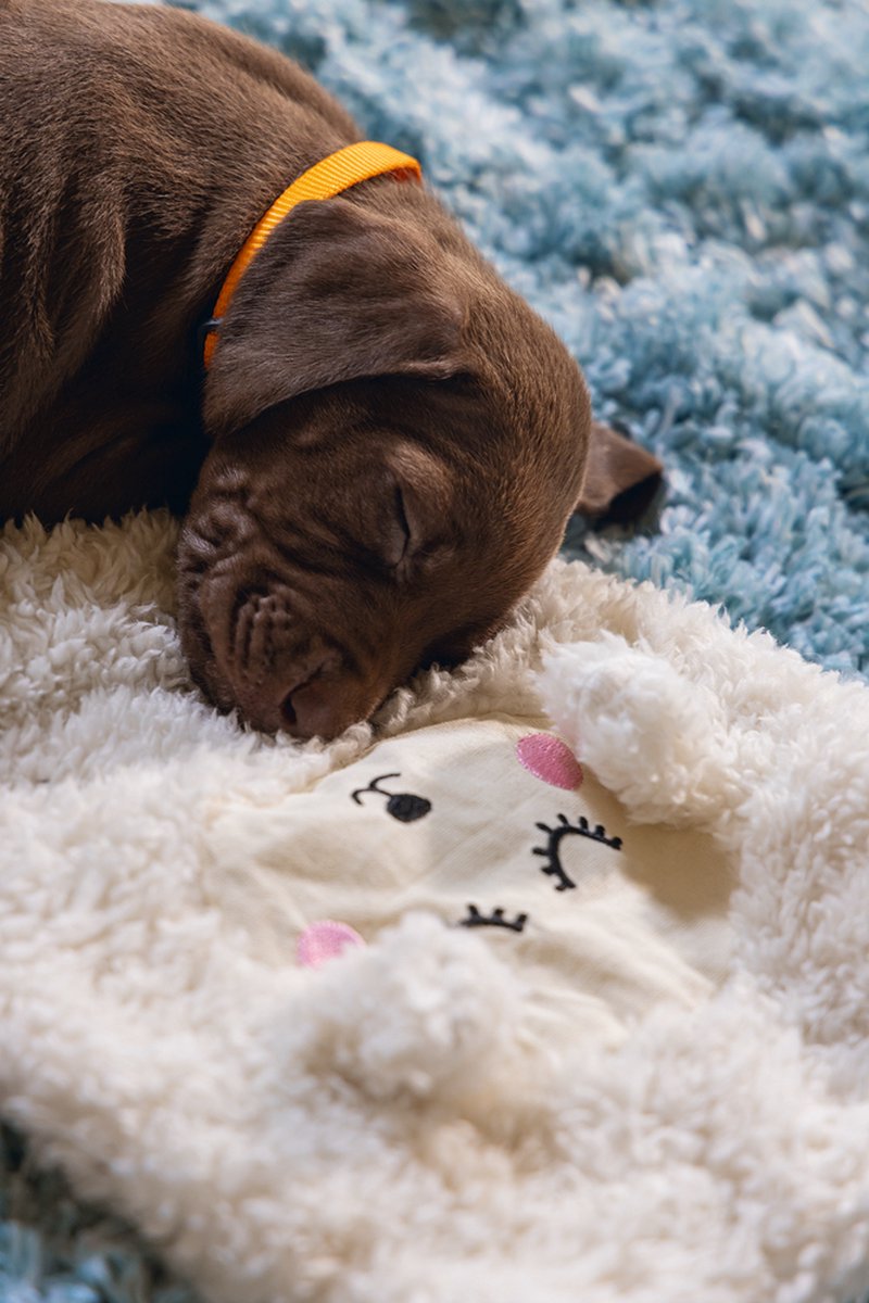Beeztees Puppy Sjiepo - Puppy Speelgoed thumbnail 3