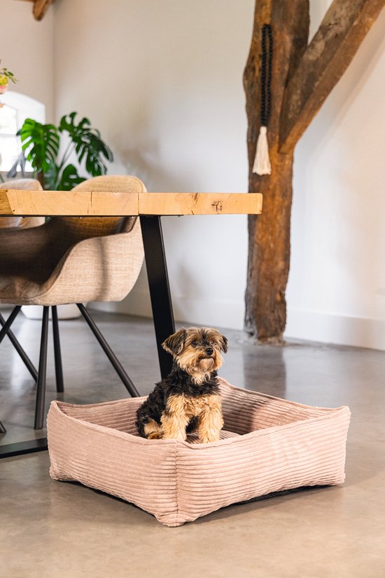 Roze corduroy hondenmand met een zittende hond.