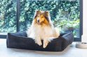 Collie in een donkergrijze hondenmand met ribbelstof, naast een voerbak.