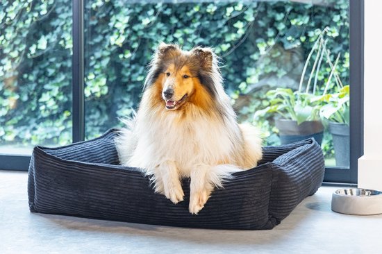 Collie in een donkergrijze hondenmand met ribbelstof, naast een voerbak.
