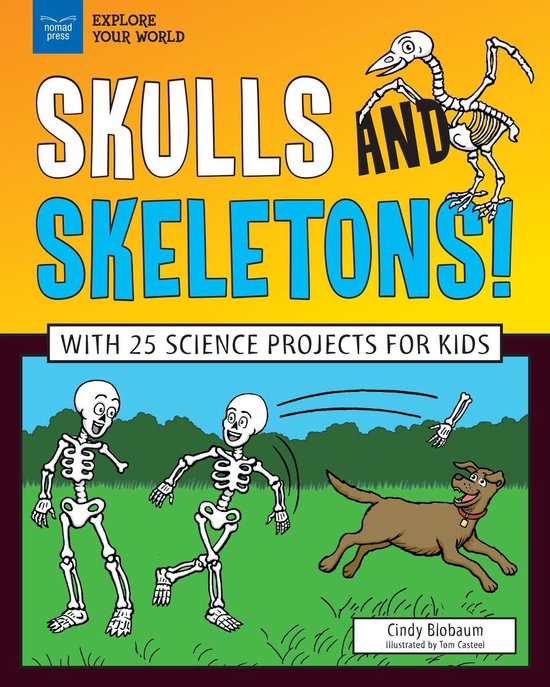 Explore Your World - Skulls and Skeletons! - cover