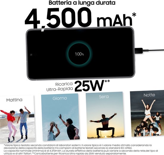 Samsung Galaxy S21 FE 5G - 128 GB - Grafiet