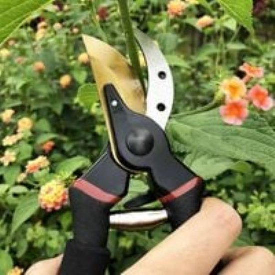 7.9 "upgrade professionele kwaliteit gelegeerd staal snoeischaar bypass, handsnoei, tuinschaar, boom trimmer, tuingereedschap van Haus & Garten — afbeelding 4