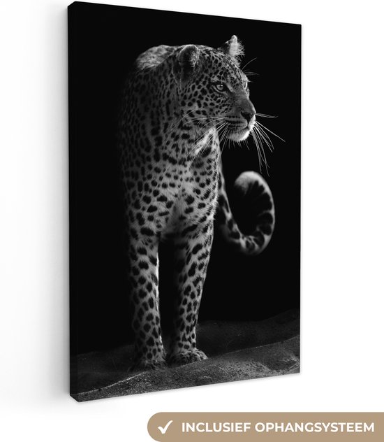 Canvas - Wilde dieren - Luipaard - Natuur - Zwart - Wit - Schilderijen op canvas - 40x60 cm - Muurdecoratie - Canvasdoek - Kamer decoratie tieners