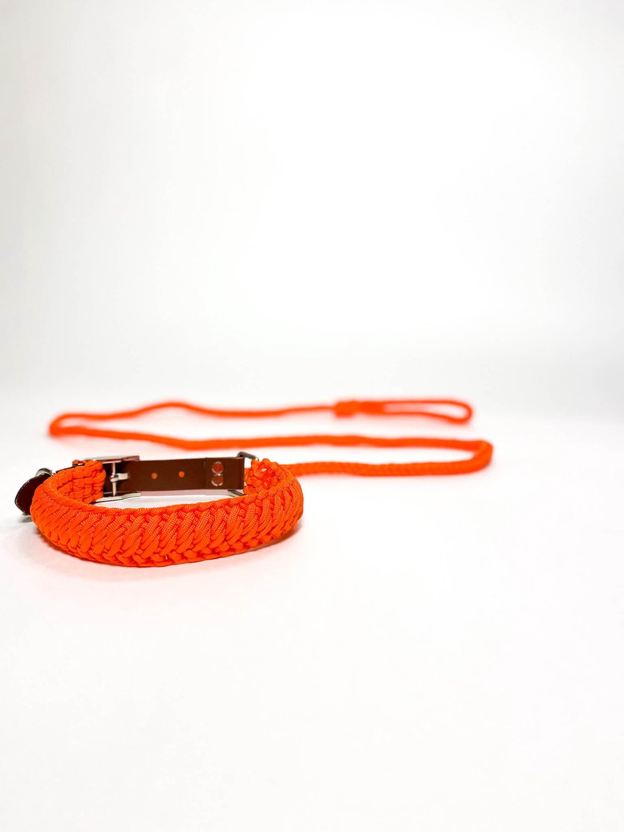 Maurette Set Halsband en leiband - uit Paracord - Halsband Diameter 46-54 cm - Leiband 150 cm - Large - Oranje