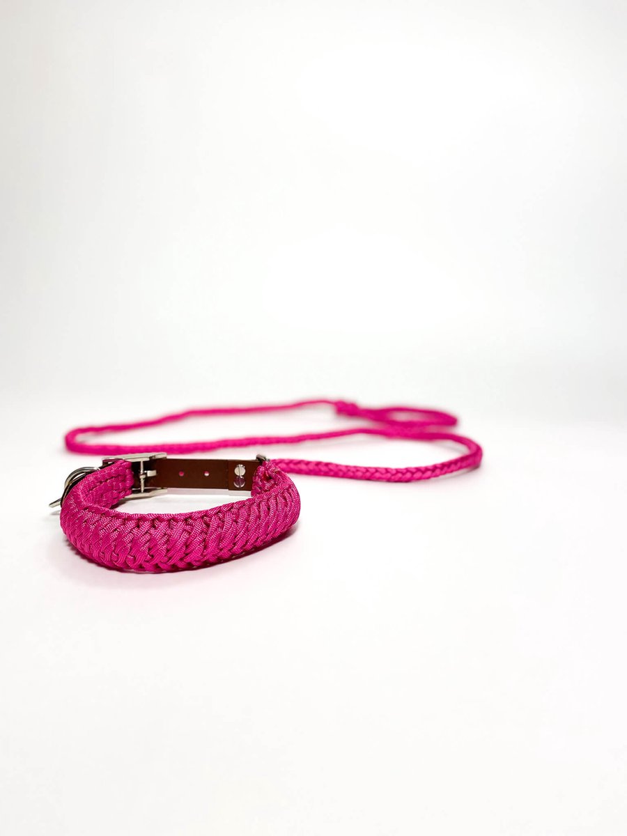 Maurette Set Halsband en leiband - uit Paracord - Halsband Diameter 42-50 cm - Leiband 150 cm - Medium - Roos