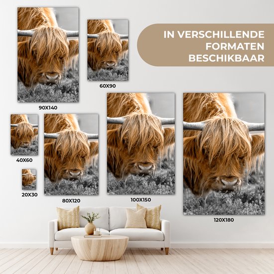 Tableau sur toile Scottish Highlander - Animaux - Marron - Vache - Zwart - Wit - Nature - 40x60 cm - Décoration murale