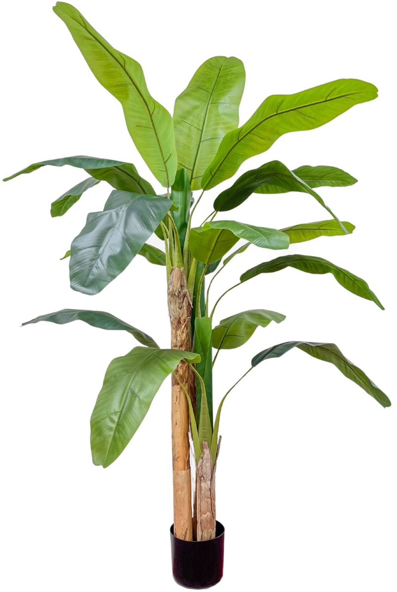 Bananen Kunstplant 180 cm | Bananen Kunstboom | Kunstplanten voor Binnen | Musa Kunstplant | Kunst Bananenboom | Nep Bananenplant