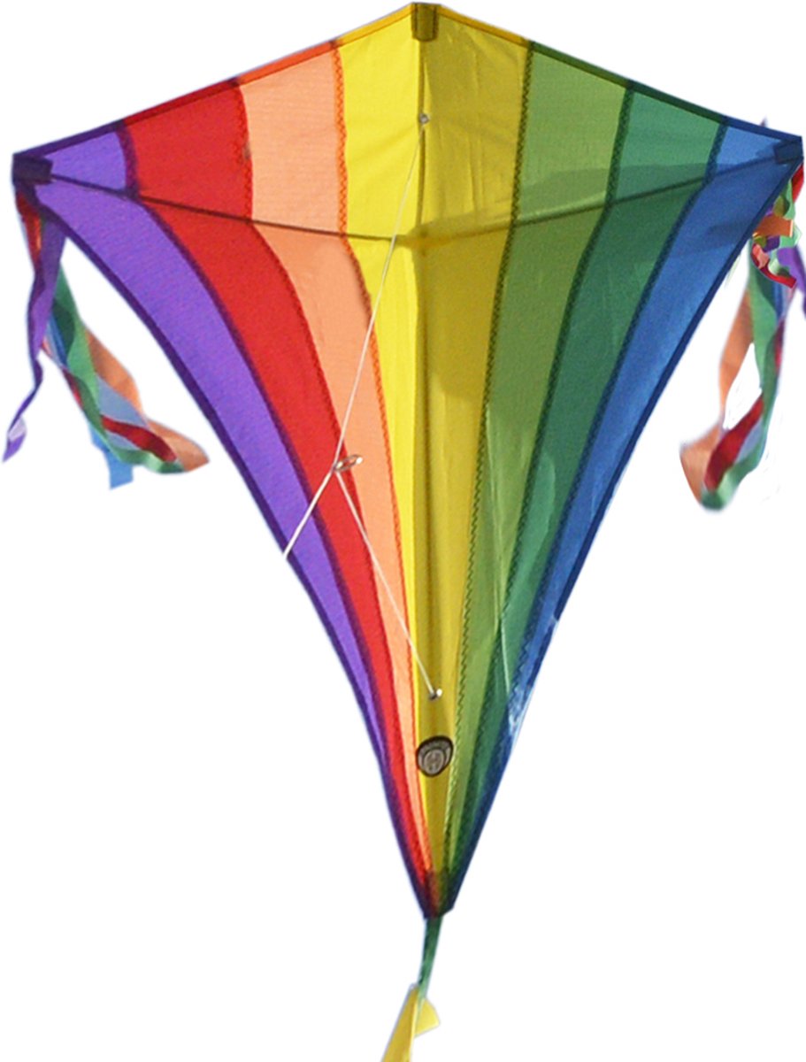 Kindervlieger Spiderkites Eddy Rainbow 40009