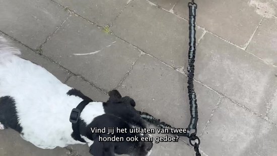 Intrekbare Hondenriem voor 2 Honden Nylon Trekkoord met LED-verlichting Ergonomisch Handvat Poepzakhouder voor Kleine Honden kopen vanaf een prijs van 29