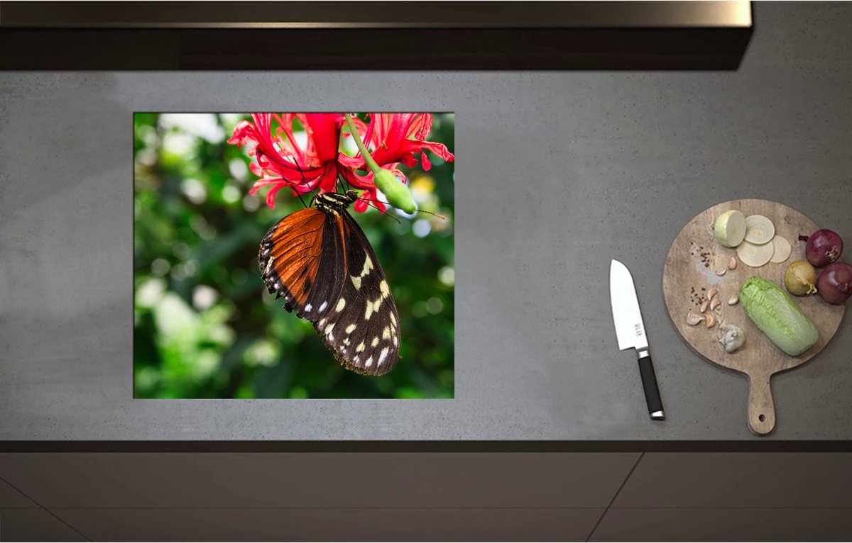 Inductieplaat Beschermer - Bruin met Zwarte Vleugels van Vlinder op Rode Bloeiende Bloem - 57x51 cm - 2 mm Dik - Inductie Beschermer - Bescherming Inductiekookplaat - Kookplaat Beschermer van Wit Vinyl