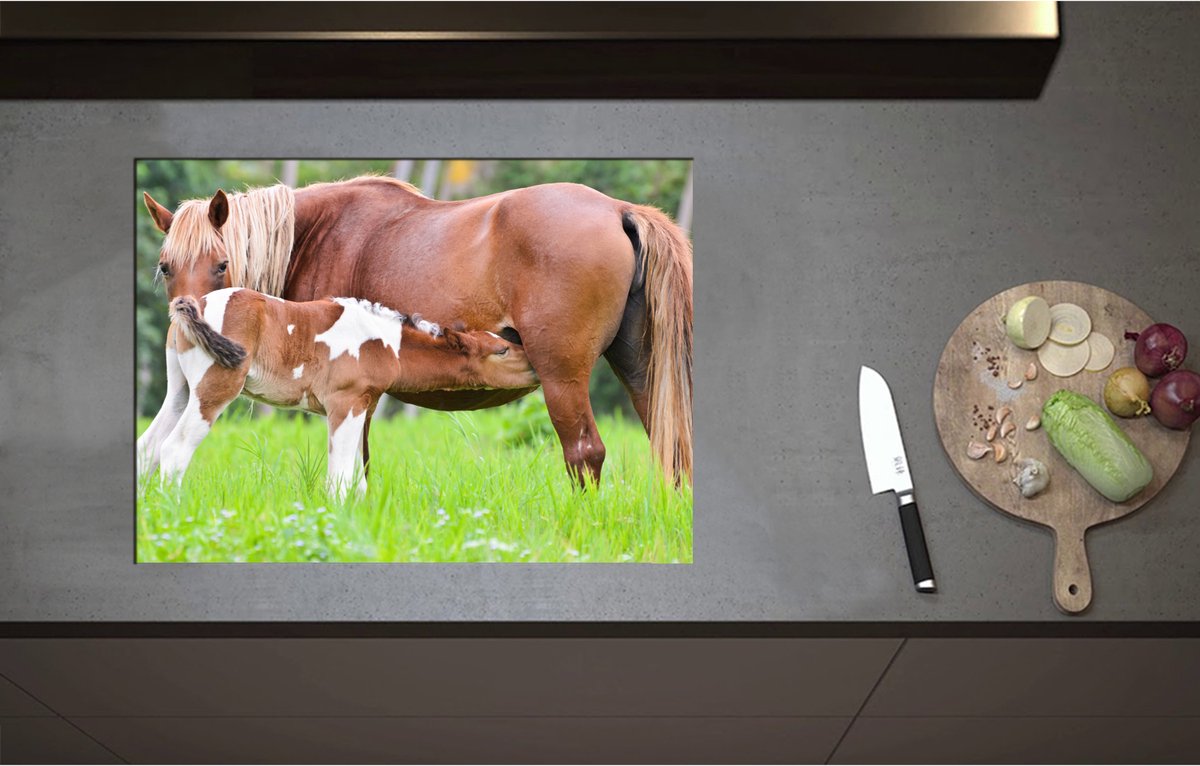 Inductieplaat Beschermer - Bruin met Wit Gevlekt Veulentje Drinkend bij Moeder in het Grasveld - 70x51 cm - 2 mm Dik - Inductie Beschermer - Bescherming Inductiekookplaat - Kookplaat Beschermer van Wit Vinyl