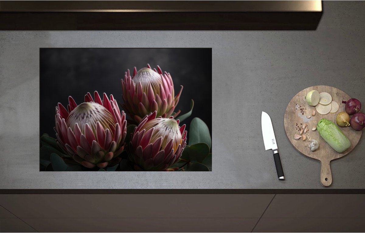 Inductieplaat Beschermer - Close-up van Drie Koningsprotea Bloemen tegen Donkere Achtergrond - 71x51 cm - 2 mm Dik - Inductie Beschermer - Bescherming Inductiekookplaat - Kookplaat Beschermer van Zwart Vinyl