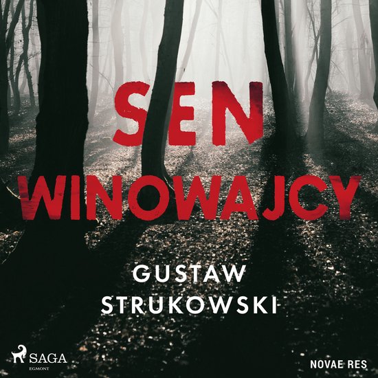 Sen winowajcy - cover