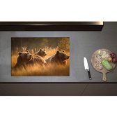 Inductieplaat Beschermer - Bruine beren in bruin gekleurd hoog gras - 75x50 cm - 2 mm Dik - Inductie Beschermer - Bescherming Inductiekookplaat - Kookplaat Beschermer van Zwart Vinyl