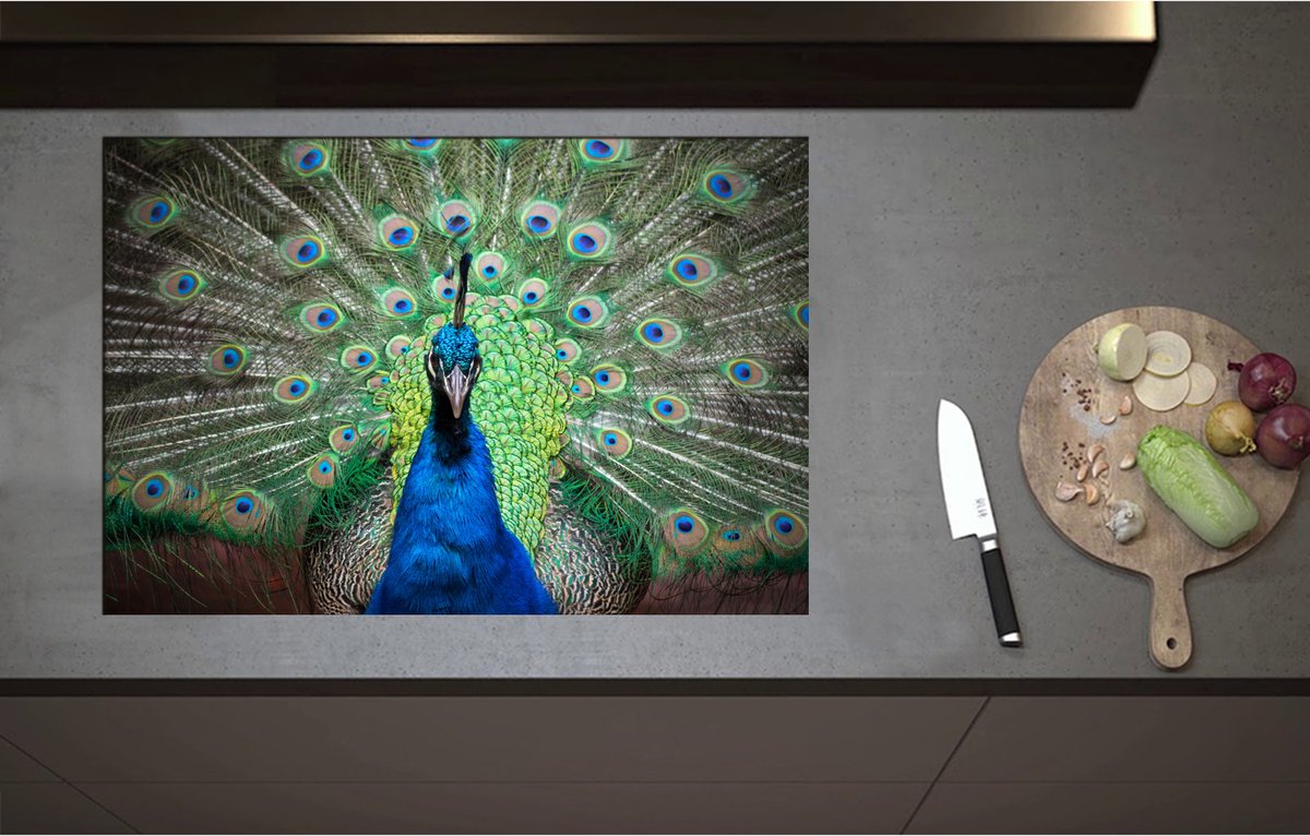Inductieplaat Beschermer - Close up van blauwe pauw met zijn veren omhoog - 80x55 cm - 2 mm Dik - Inductie Beschermer - Bescherming Inductiekookplaat - Kookplaat Beschermer van Wit Vinyl
