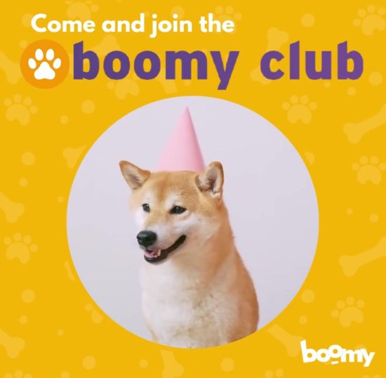 Boomy - Koffieboomhout XL - Hondensnacks - Kauwstaaf hond - Natuurlijke kauwsnack - Voor honden groter dan 20kg - 1st