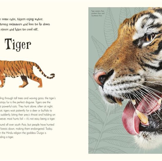 An Anthology of Intriguing Animals