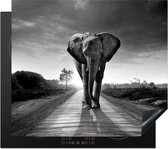 KitchenYeah® Inductie beschermer 60x52 cm - Olifant - Dier - Zwart - Wit - Kookplaataccessoires - Afdekplaat voor kookplaat - Inductieplaat mat - Afdekmat voor inductiekookplaat - Keuken decoratie