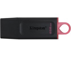 USB stick Kingston DTX/256GB Keychain Black 256 GB