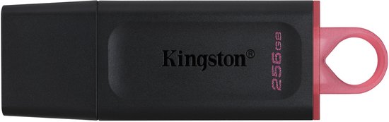 USB stick Kingston DTX/256GB Keychain Black 256 GB