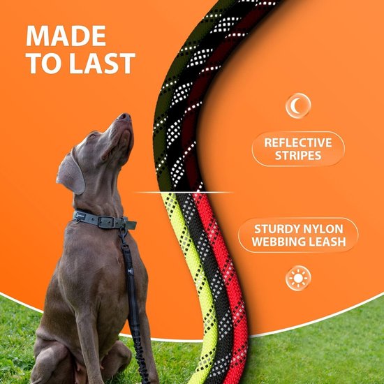 Verstelbare Bungee Hondenriem - Schokabsorberend En Reflecterend Voor Grote Honden