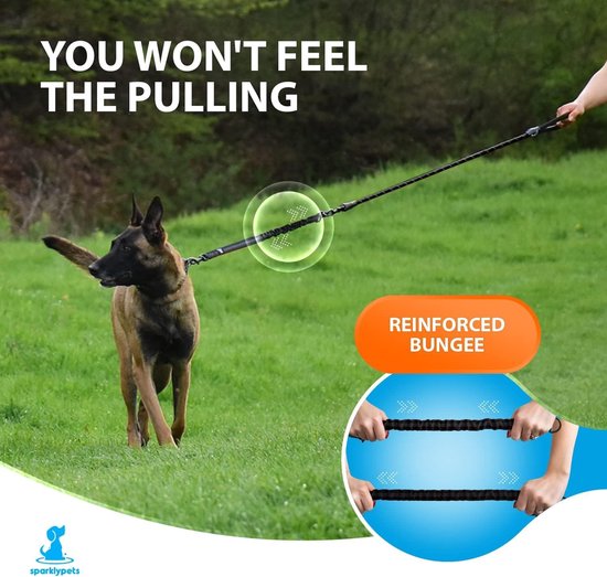 Reflecterende bungee-hondenriem voor riem met twee karabijnhaken - ideaal voor actieve honden en reizen - met een schokabsorberende bungee-kern - België