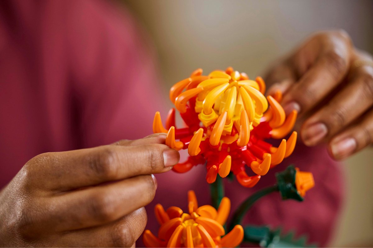 LEGO Icons Chrysant - Botanical Collection - 10368 — afbeelding 20