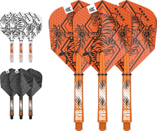 Target Raymond van Barneveld Ink Flight Shaft Kit - Dart Flights van Target — afbeelding 2