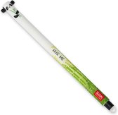 Legami - Uitwisbare Pen - Panda - Inktkleur Zwart - Navulbaar - Back to School