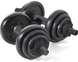 Fitby Dumbells 20KG - Dumbbells - Gewichten set - Verstelbare Dumbells - Halterset - Dumbell Set - Gietijzer - Inclusief Opbergkoffer