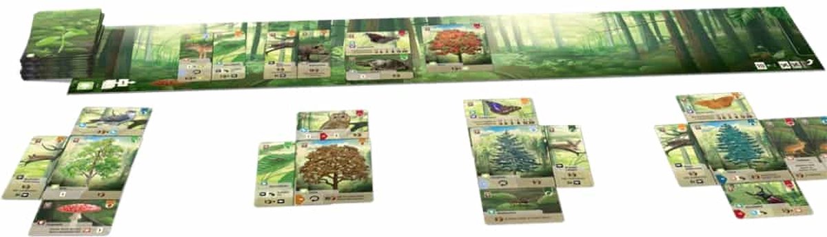 Lookout Games - Forest Shuffle - Nederlandstalig Kaartspel — cadeau in Partyspellen - foto 3