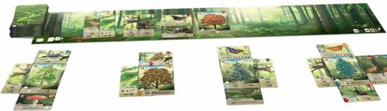 Borden met groene bosafbeeldingen, kaarten met bomen en paddenstoelen.