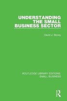 Routledge Library Editions: Small Business- Understanding The Small Business Sector