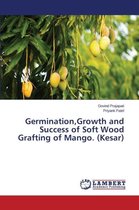 Germination, Growth and Success of Soft Wood Grafting of Mango. (Kesar)