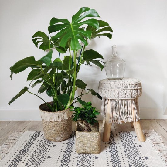 Woonkamerinterieur met grote plant, kleine plant, tapijt met geometrisch patroon en macramé krukje met franjes.