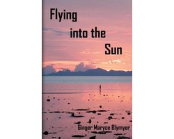 Flying Into the Sun